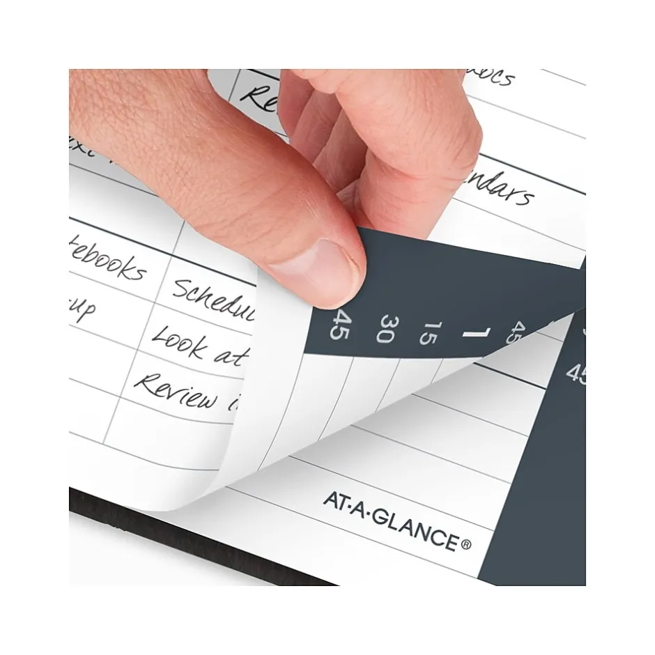 AT-A-GLANCE 2025 5" x 8" Daily Appointment Book Planner, Faux Leather Cover, Black (70-800-05-25) New