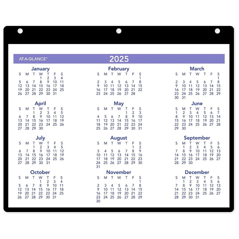 AT-A-GLANCE 2025 11" x 8" Monthly Wet-Erase Desk or Wall Calendar with Jacket, Multicolor (SK8-00-25) New