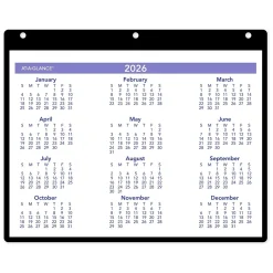 AT-A-GLANCE 2025 11