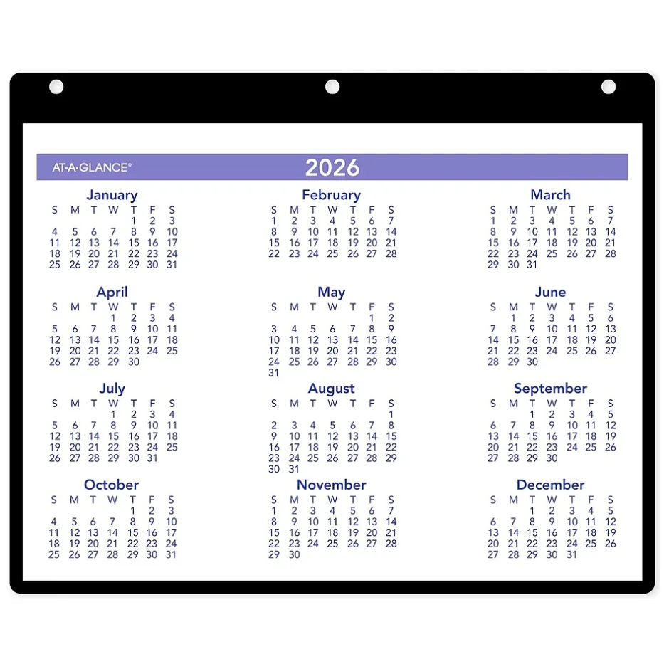 AT-A-GLANCE 2025 11" x 8" Monthly Wet-Erase Desk or Wall Calendar with Jacket, Multicolor (SK8-00-25) New