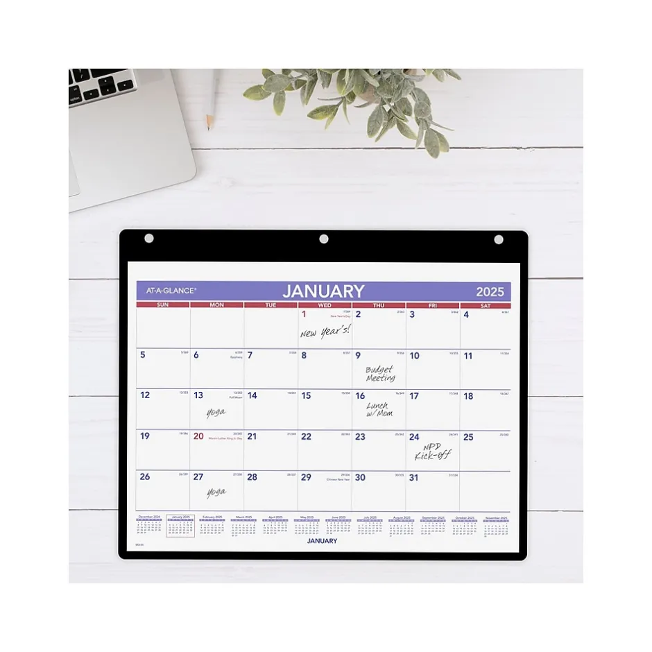AT-A-GLANCE 2025 11" x 8" Monthly Wet-Erase Desk or Wall Calendar with Jacket, Multicolor (SK8-00-25) New