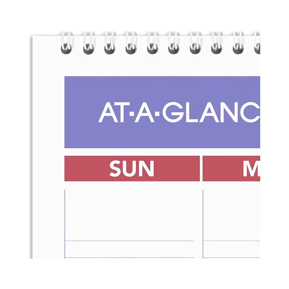 AT-A-GLANCE 2025 15.5" x 22.75" Monthly Wet-Erasable Wall Calendar (PMLM03-28-25) Hot