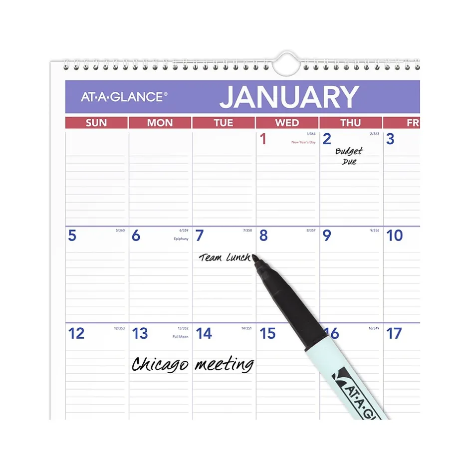 AT-A-GLANCE 2025 15.5" x 22.75" Monthly Wet-Erasable Wall Calendar (PMLM03-28-25) Hot