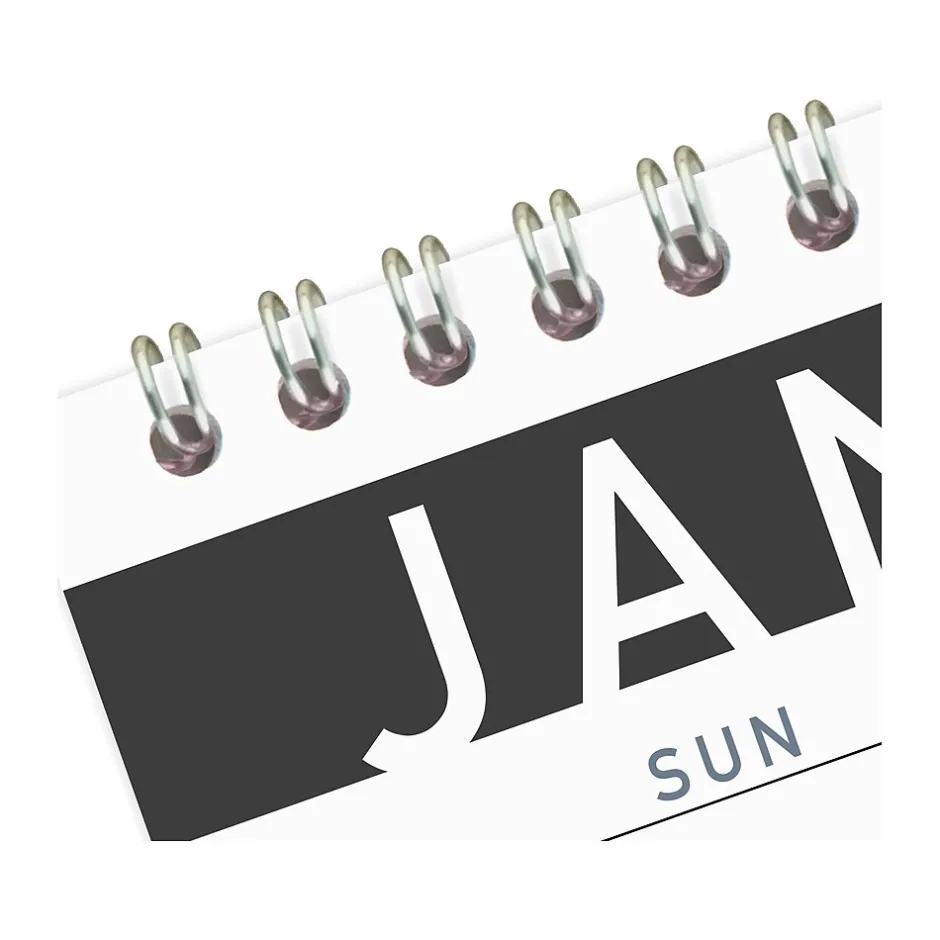 AT-A-GLANCE 2025 Contemporary 15" x 12" Monthly Wall Calendar, White/Black (PM8X-28-25) Online