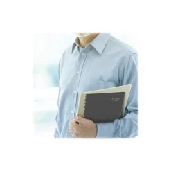 AT-A-GLANCE 2024-2025 DayMinder 8.5