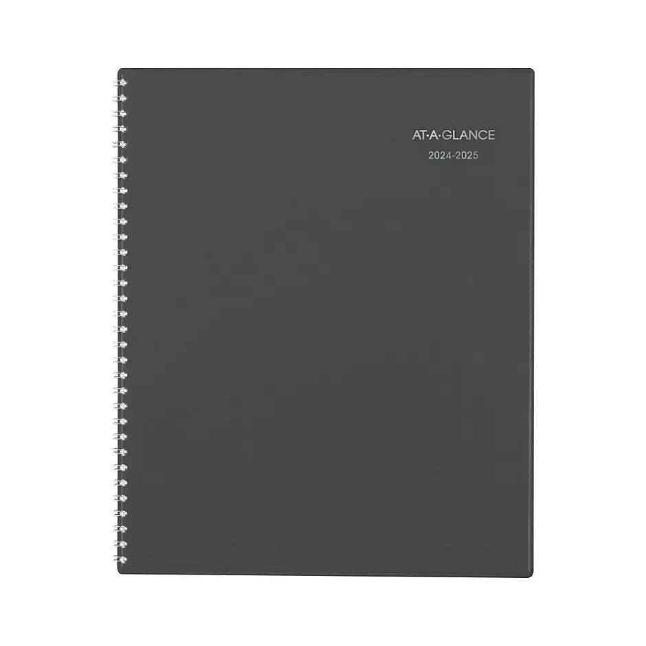 AT-A-GLANCE 2024-2025 DayMinder 8.5" x 11" Academic Monthly Planner, Poly Cover, Charcoal (AYC470-45-25) Hot