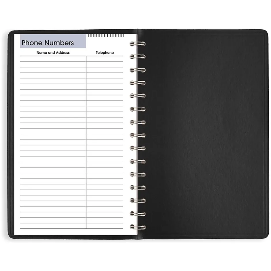 AT-A-GLANCE 2025 DayMinder 5" x 8" Daily Planner, Faux Leather Cover, Black (SK46-00-25) Discount