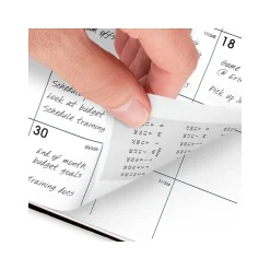 AT-A-GLANCE 2025 DayMinder 7