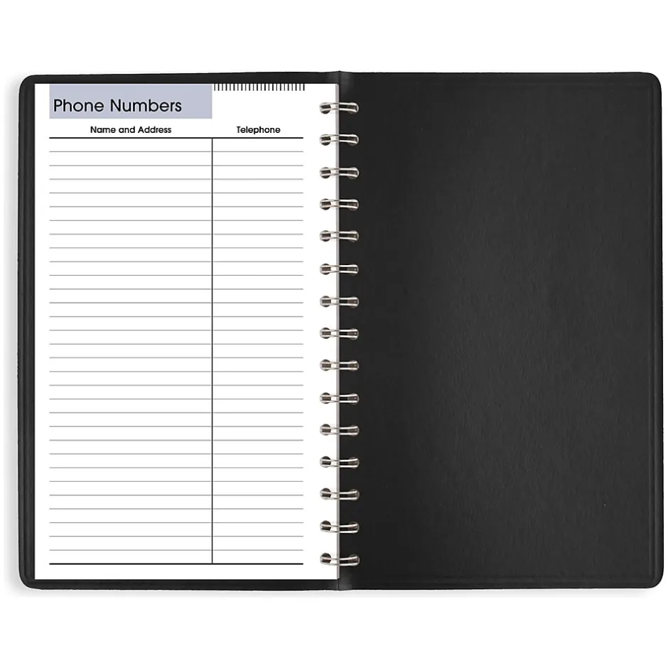 AT-A-GLANCE 2025 DayMinder 5" x 8" Daily Appointment Book, Faux Leather Cover, Black (SK44-00-25) Sale