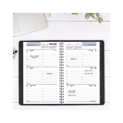 AT-A-GLANCE 2025 DayMinder 5" x 8" Weekly Appointment Book, Faux Leather Cover, Black (G210-00-25)