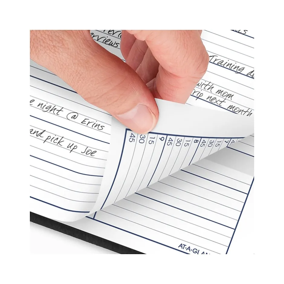 AT-A-GLANCE 2025 DayMinder 8" x 11" Weekly Appointment Book, Faux Leather Cover, Black (G520-00-25) Hot