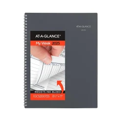 AT-A-GLANCE 2025 DayMinder 8.5" x 11" Weekly & Monthly Appointment Book, Plastic Cover, Gray (GC520-07-25) Hot