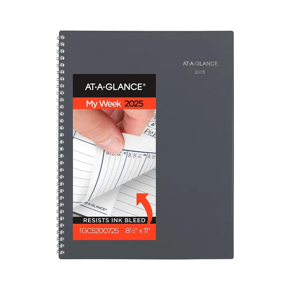 AT-A-GLANCE 2025 DayMinder 8.5" x 11" Weekly & Monthly Appointment Book, Plastic Cover, Gray (GC520-07-25) Hot