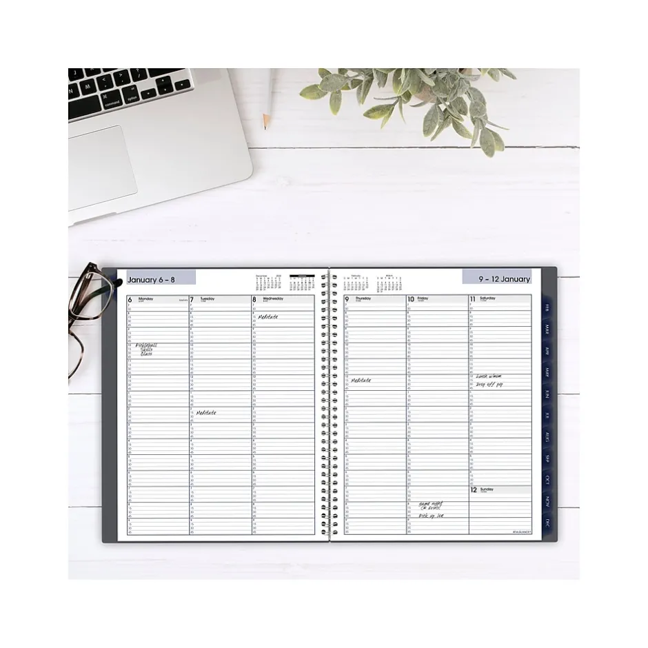 AT-A-GLANCE 2025 DayMinder 8.5" x 11" Weekly & Monthly Appointment Book, Plastic Cover, Gray (GC520-07-25) Hot