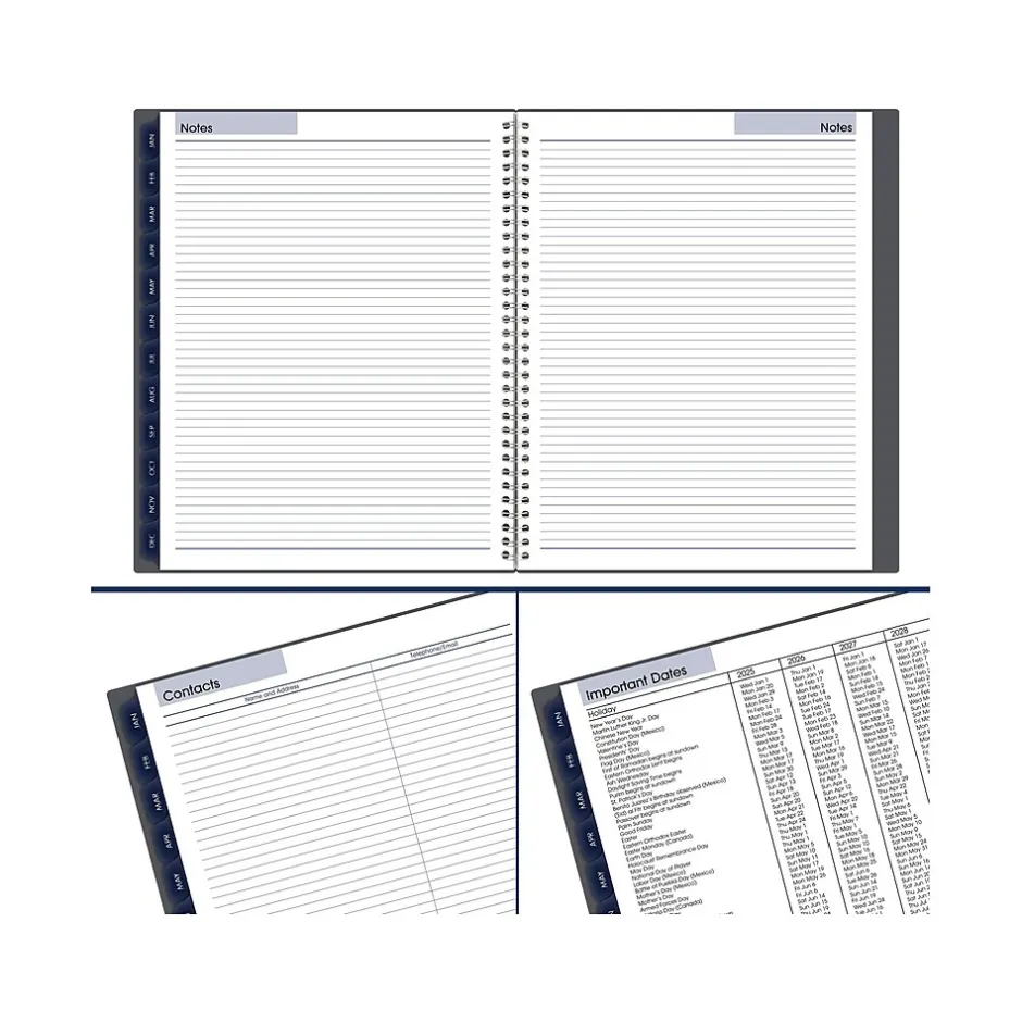 AT-A-GLANCE 2025 DayMinder 8.5" x 11" Weekly & Monthly Appointment Book, Plastic Cover, Gray (GC520-07-25) Hot