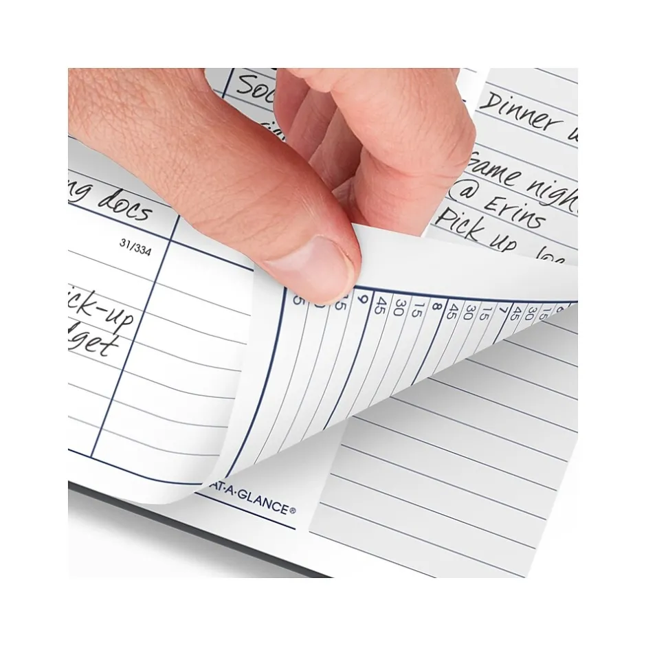 AT-A-GLANCE 2025 DayMinder 8.5" x 11" Weekly & Monthly Appointment Book, Plastic Cover, Gray (GC520-07-25) Hot