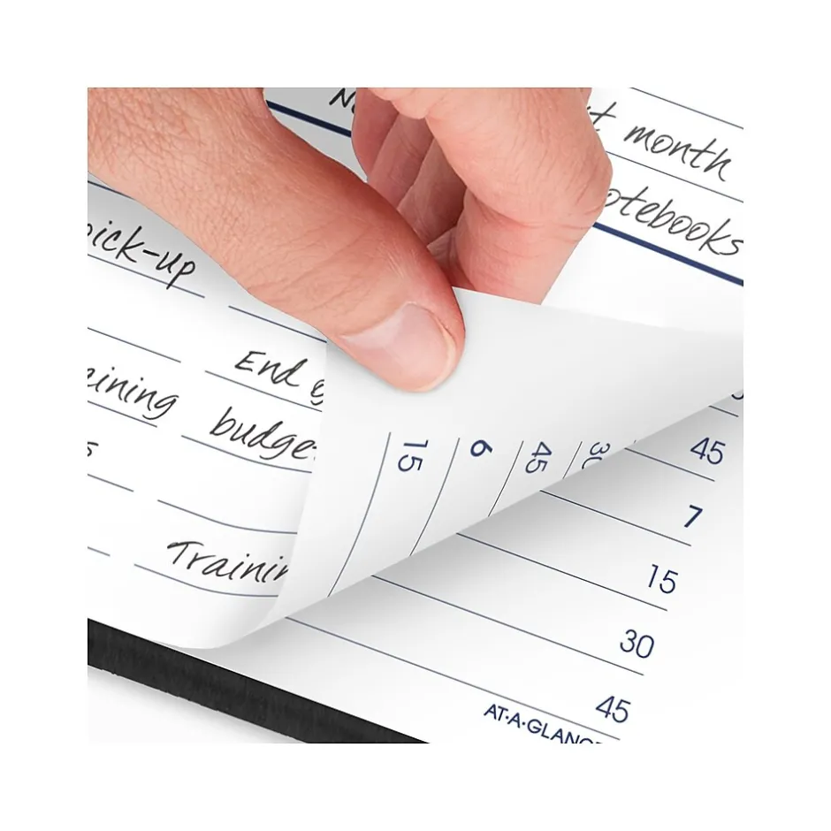 AT-A-GLANCE 2025 DayMinder 5" x 8" Daily Appointment Book, Faux Leather Cover, Black (G100-00-25) Best