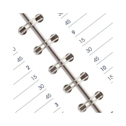 AT-A-GLANCE 2025 DayMinder 5