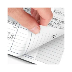 AT-A-GLANCE 2025 DayMinder 8.5