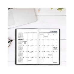 AT-A-GLANCE 2025 DayMinder 3.5" x 6" Monthly Planner, Plastic Cover, Black (SK53-00-25) Sale