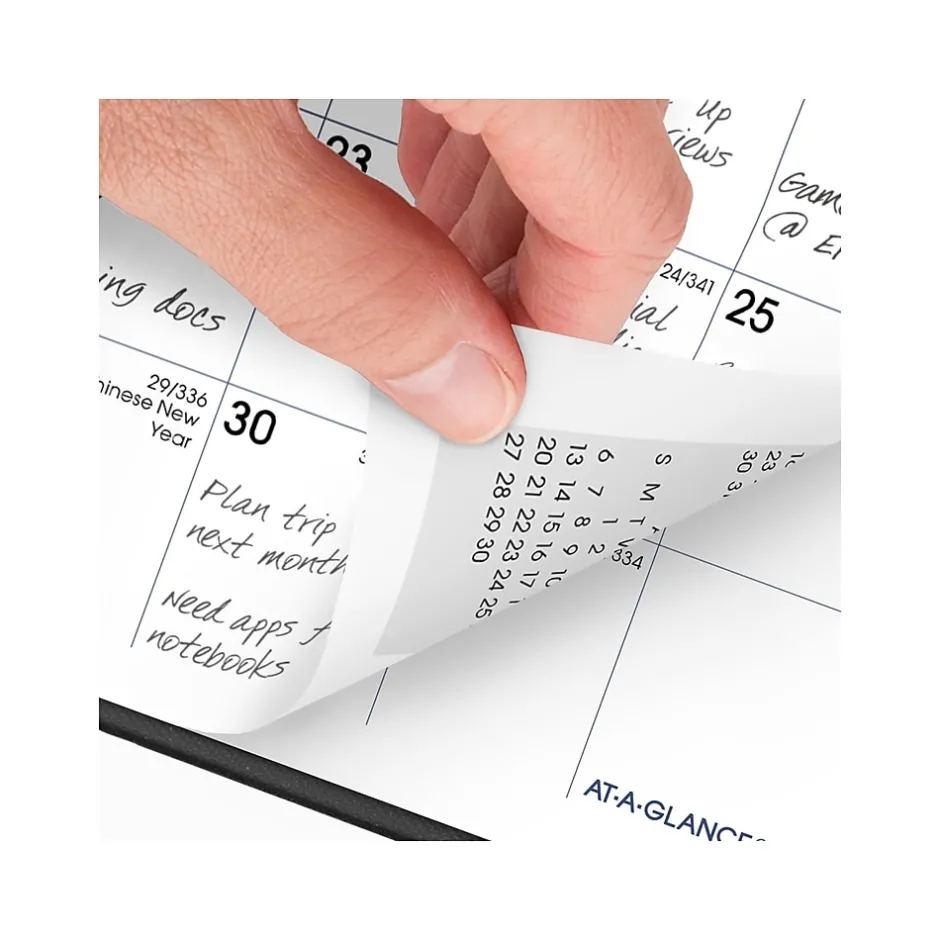 AT-A-GLANCE 2025 DayMinder 3.5" x 6" Monthly Planner, Plastic Cover, Black (SK53-00-25) Sale