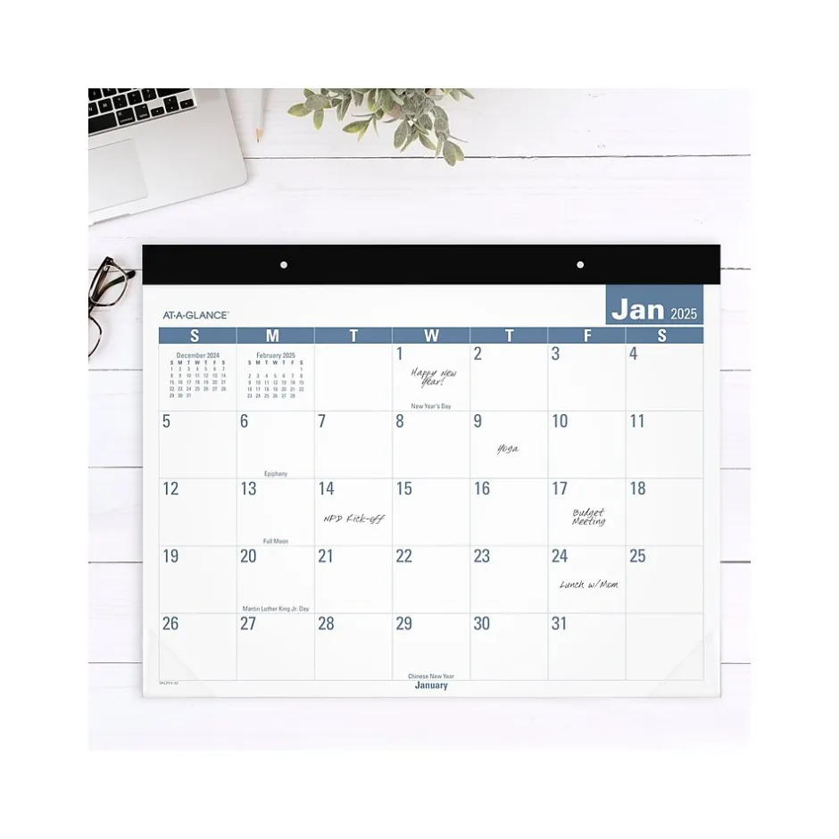 AT-A-GLANCE 2025 Easy-to-Read 21.75" x 17" Monthly Desk Pad Calendar, White/Blue (SKLP24-32-25) Sale
