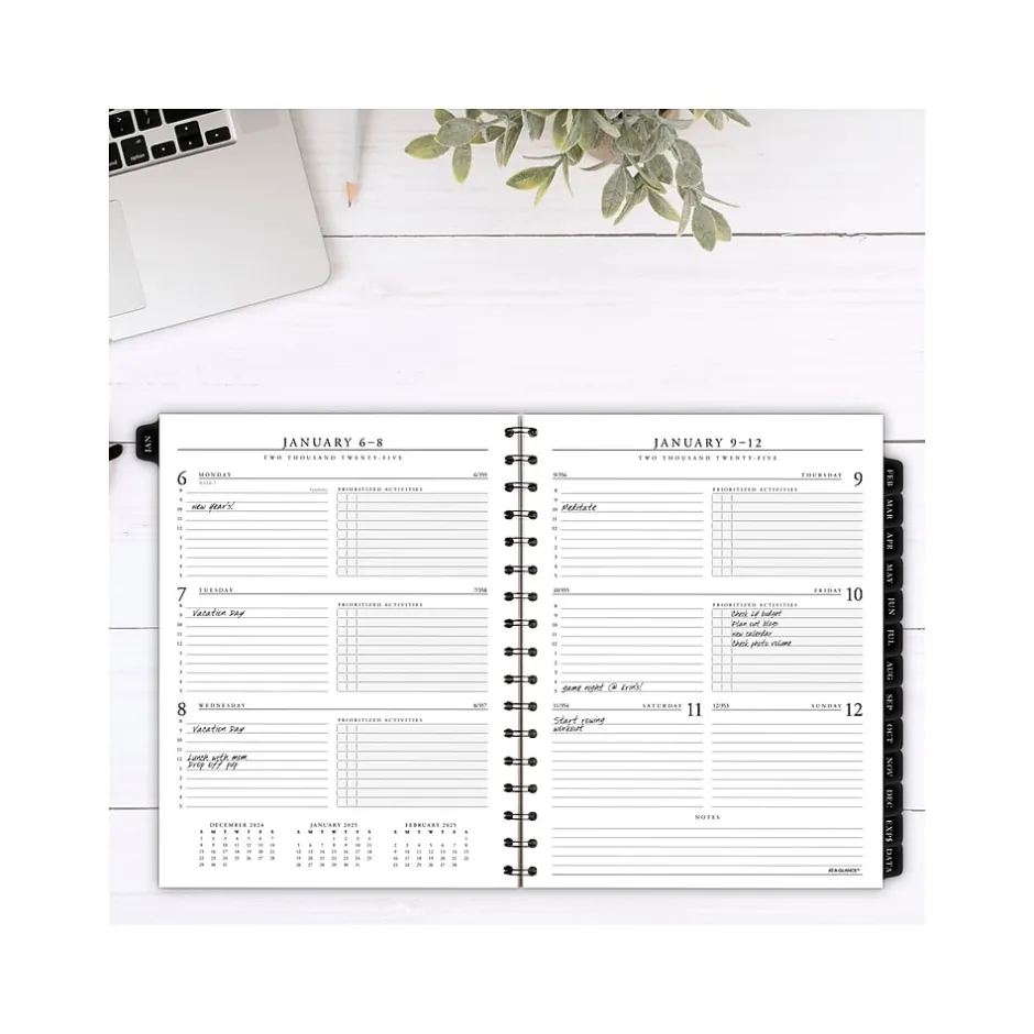 AT-A-GLANCE 2025 Executive 8.75" x 6.5" Weekly & Monthly Appointment Book Refill, White/Black (70-908-10-25) Best