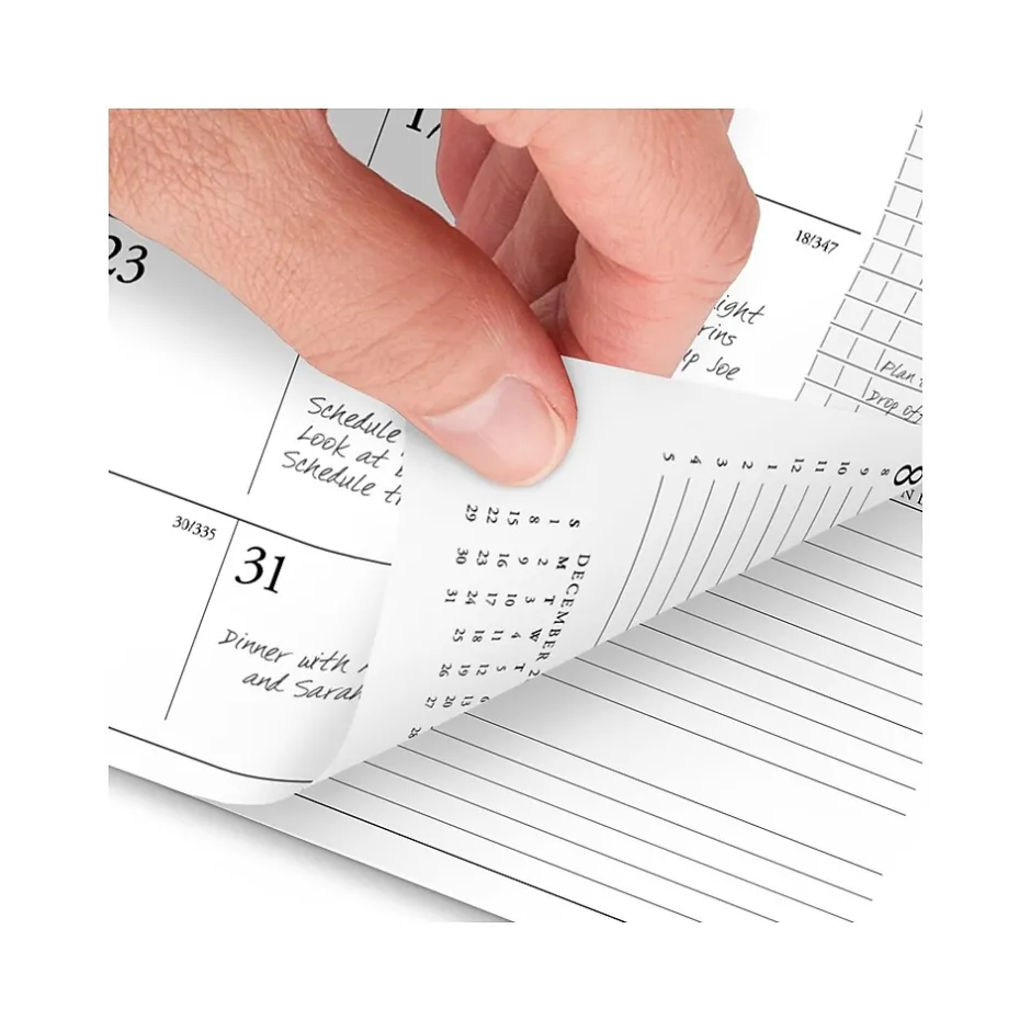 AT-A-GLANCE 2025 Executive 8.75" x 6.5" Weekly & Monthly Appointment Book Refill, White/Black (70-908-10-25) Best