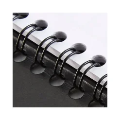 AT-A-GLANCE 2025 Executive 8.25