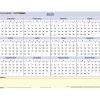 AT-A-GLANCE 2025 QuickNotes 16" x 12" Yearly/Monthly Wet-Erase Wall Calendar, Reversible (PM550B-28-25) Clearance