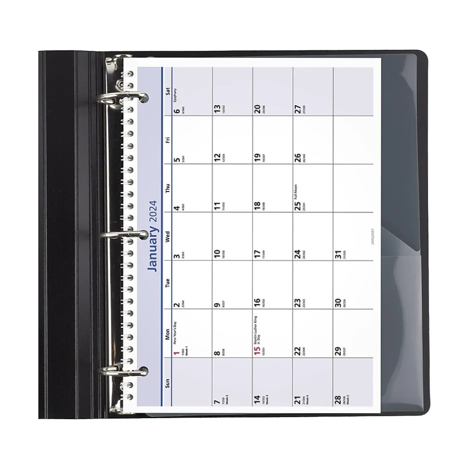 AT-A-GLANCE 2025 QuickNotes 11" x 8" Monthly Desk or Wall Calendar, (PM50-28-25)