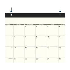 AT-A-GLANCE 2025 Recycled 21.75