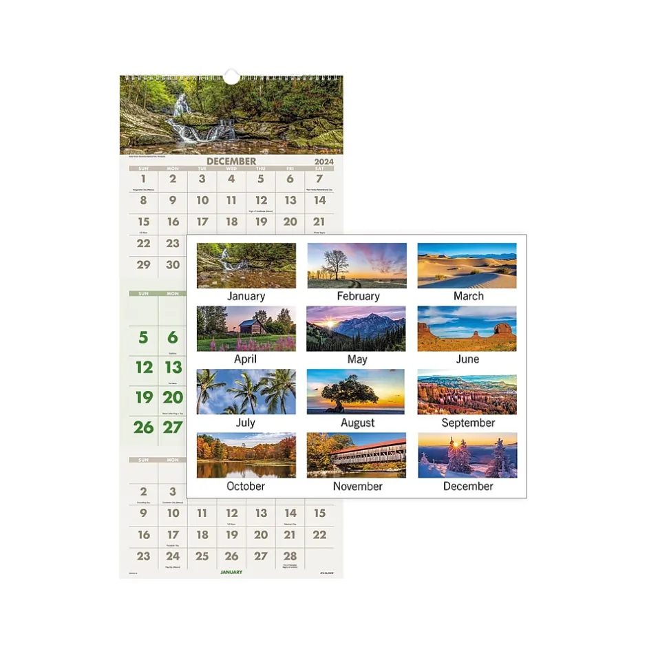 AT-A-GLANCE 2025 Scenic 12" x 27" Three-Month Wall Calendar (DMW503-28-25) New