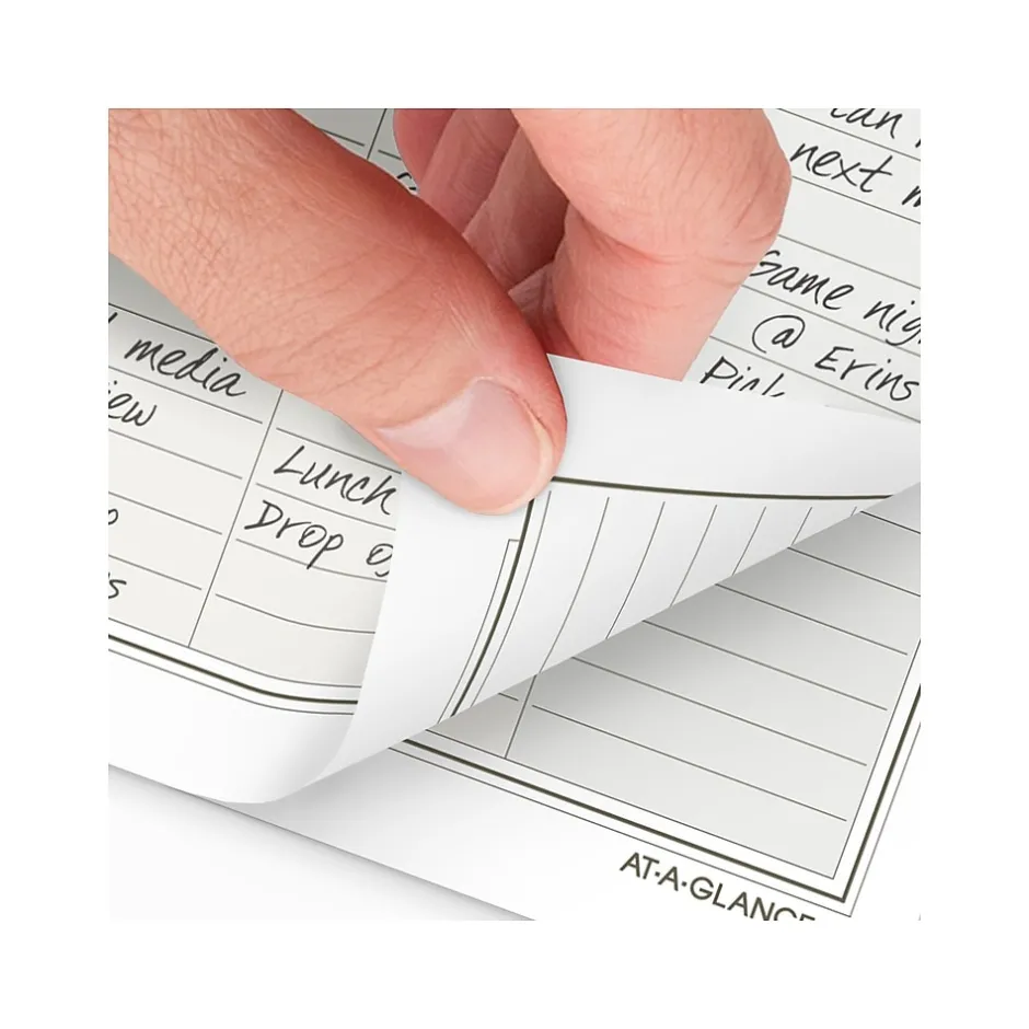 AT-A-GLANCE 2025 Seascapes 8.5" x 5.5" Daily & Monthly Planner Refill, White/Brown (481-125-25) Hot