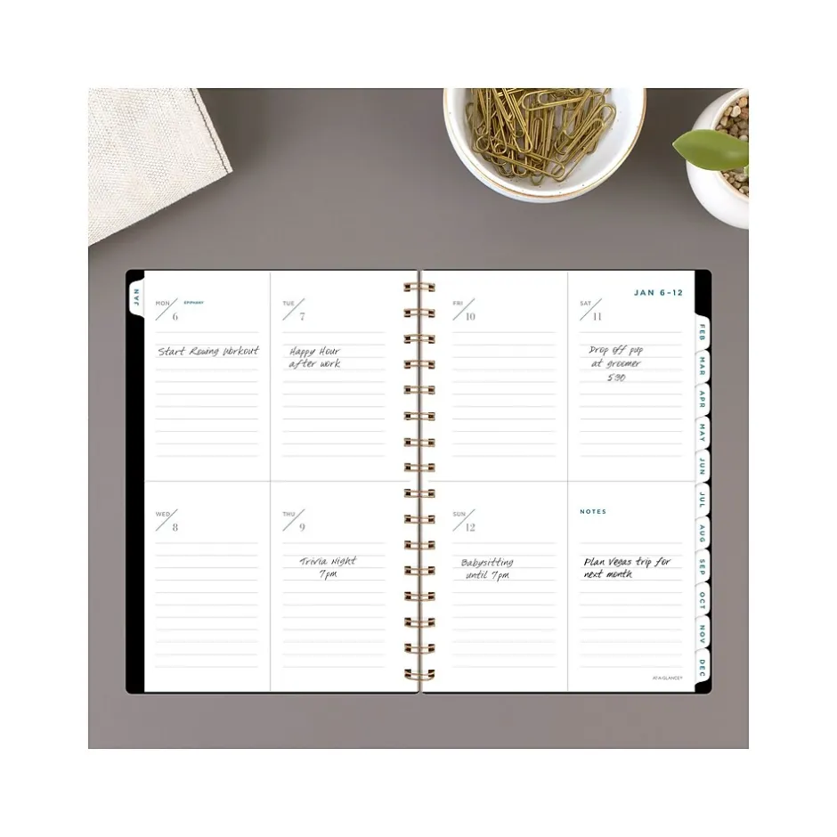 AT-A-GLANCE 2025 Signature Lite 5.5" x 8.5" Weekly & Monthly Planner, Poly Cover, Black (YP200L-05-25)