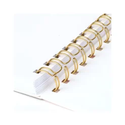 AT-A-GLANCE 2024-2025 Simplified by Emily Ley Happy Stripe 8.5