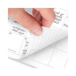 AT-A-GLANCE 2025 Simplified by Emily Ley Greenbriar Floral 5.5