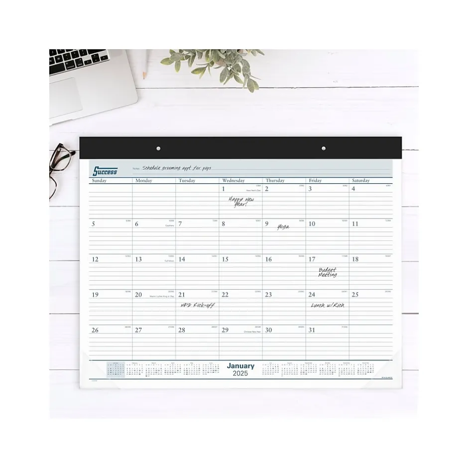 AT-A-GLANCE 2025 Success 21.75" x 17" Monthly Desk Pad Calendar, White/Blue (ST24-00-25) Clearance