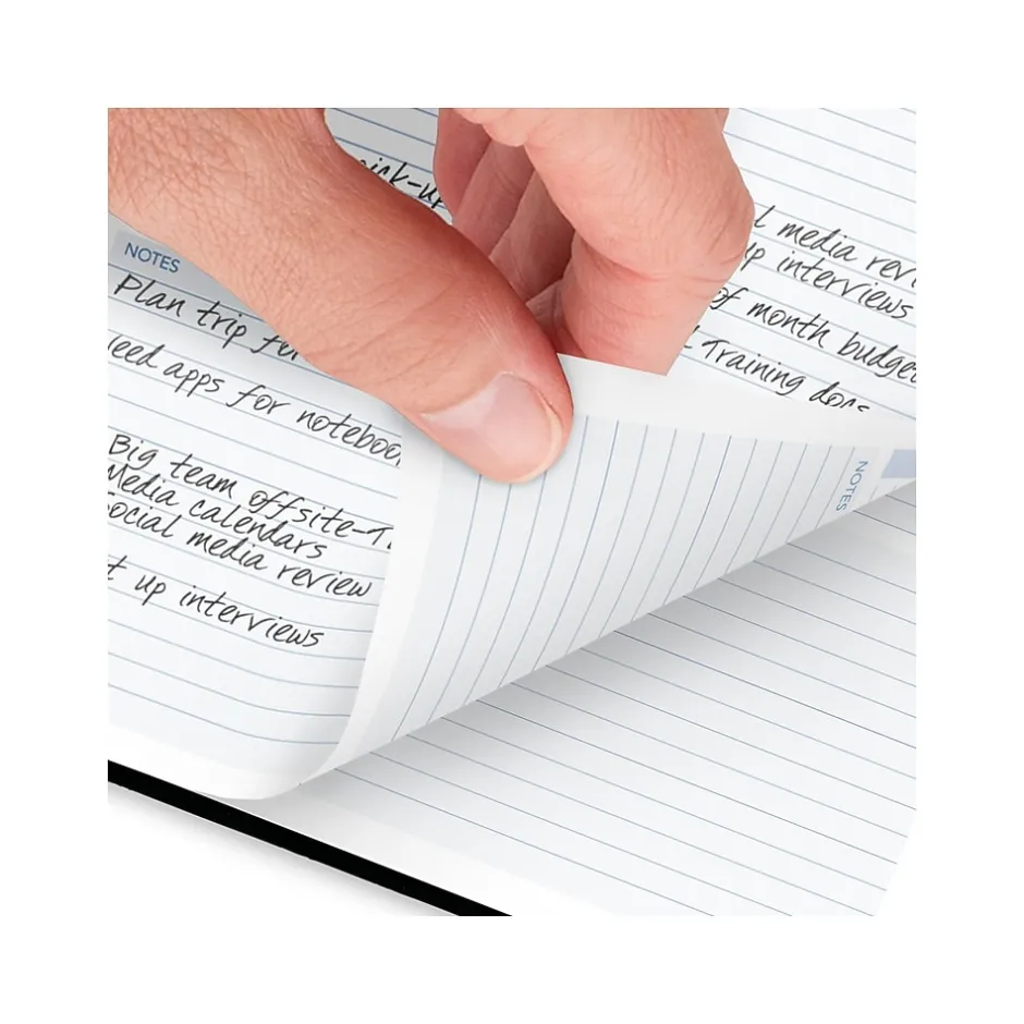 AT-A-GLANCE 2025 The Action Planner 6.5" x 8.75" Daily Appointment Book, Faux Leather Cover, Black (70-EP03-05-25) Best