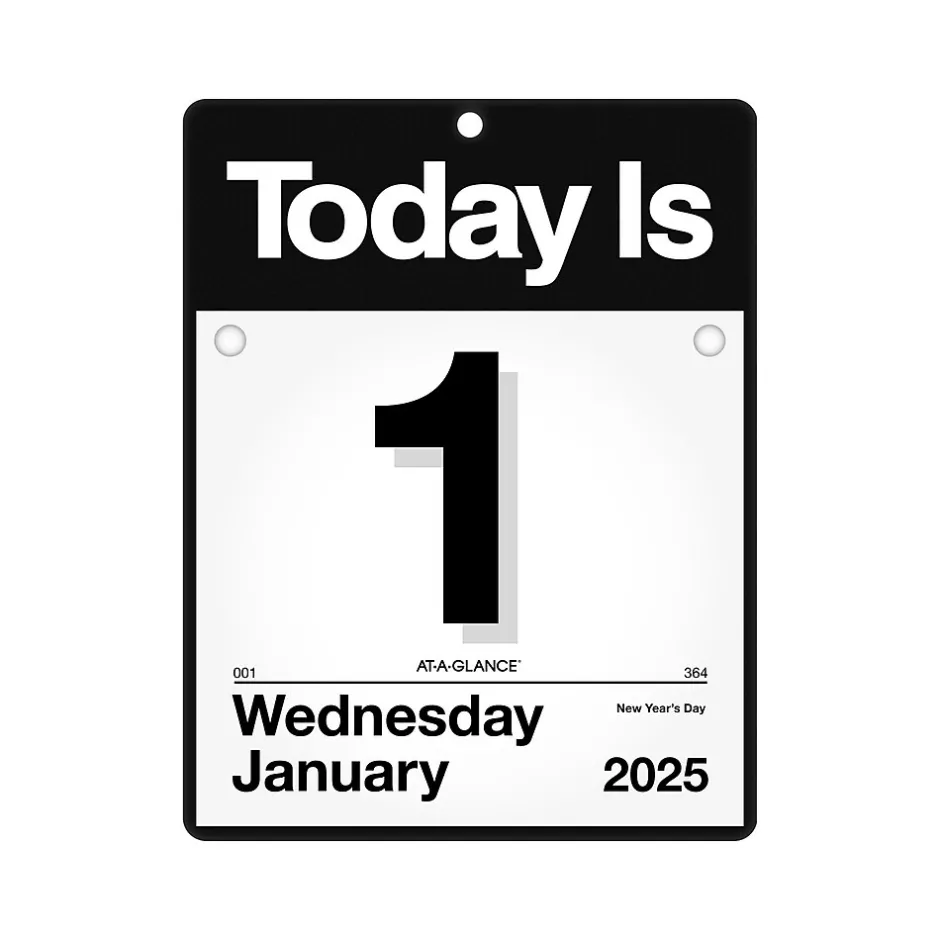 AT-A-GLANCE 2025 Today Is 9.5" x 12" Daily Wall Calendar, White/Black (K4-00-25) Best