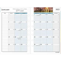 AT-A-GLANCE 2025 Zenscapes 8.5