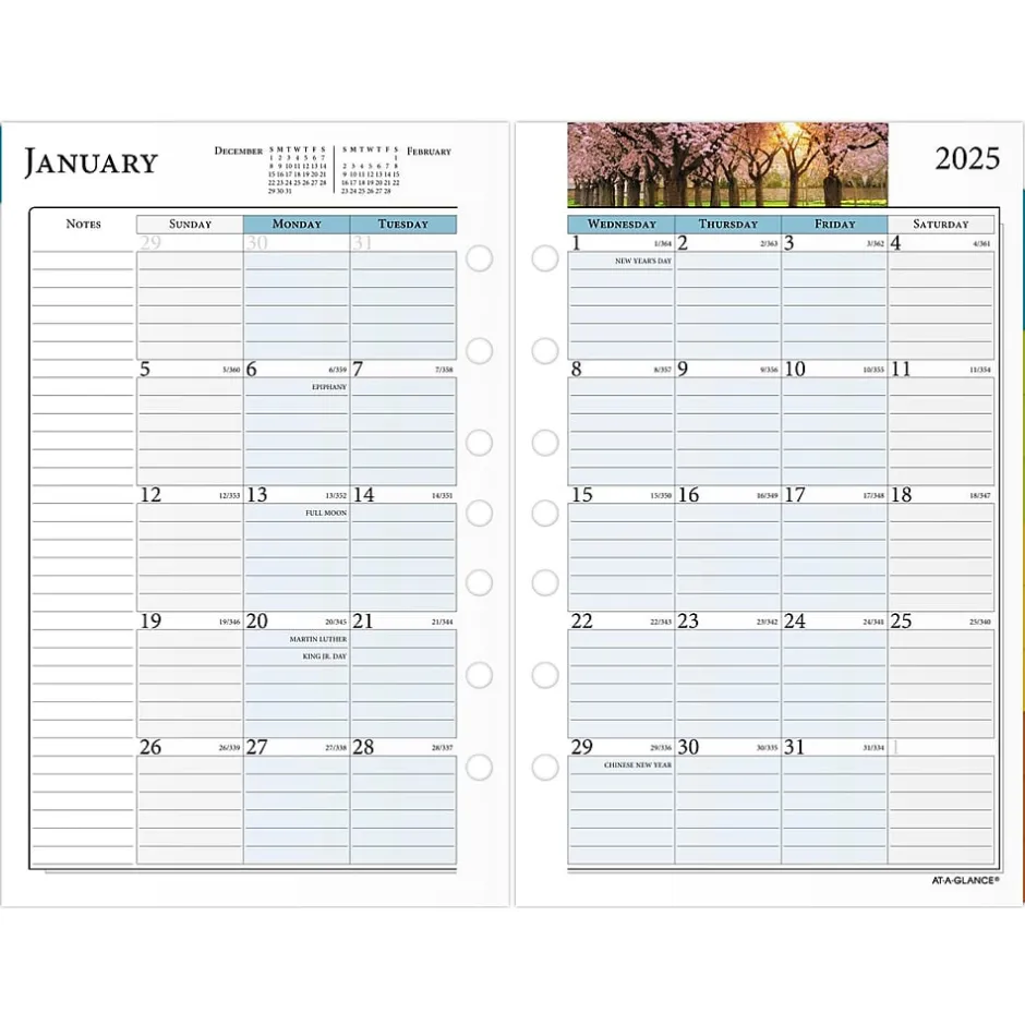 AT-A-GLANCE 2025 Zenscapes 8.5" x 5.5" Weekly & Monthly Planner Refill, Multicolor (281-285Y-25) Clearance