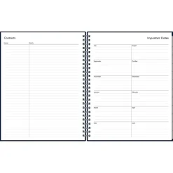 Blue Sky 2024-2025 7