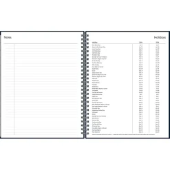 Blue Sky 2024-2025 7