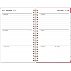 Blue Sky 2025 Amalia 5" x 8" Weekly & Monthly Planner, Plastic Cover, Multicolor (148768-25) Best