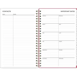 Blue Sky 2025 Amalia 5