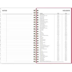 Blue Sky 2025 Amalia 5
