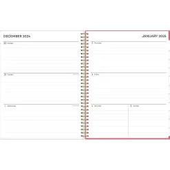 Blue Sky 2025 Amalia 8.5" x 11" Weekly & Monthly Planner, Plastic Cover, Multicolor (148767-25) Online