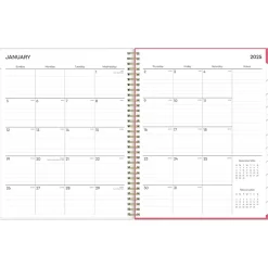 Blue Sky 2025 Amalia 8.5