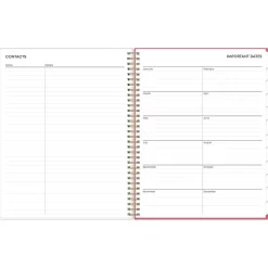 Blue Sky 2025 Amalia 8.5